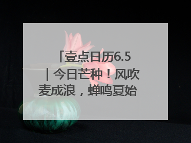 壹点日历6.5｜今日芒种！风吹麦成浪，蝉鸣夏始忙！大家早安